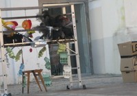 img_1010.jpg