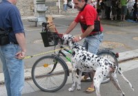 img_1020.jpg