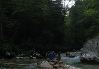 img_1557.jpg