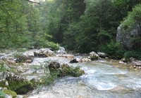 'Camping in the Alps', img_1547.jpg