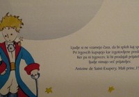 img_3018.jpg